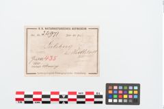 Etiketten zu Bronzemelonenarmreif (NHMW-PRAE-024971)